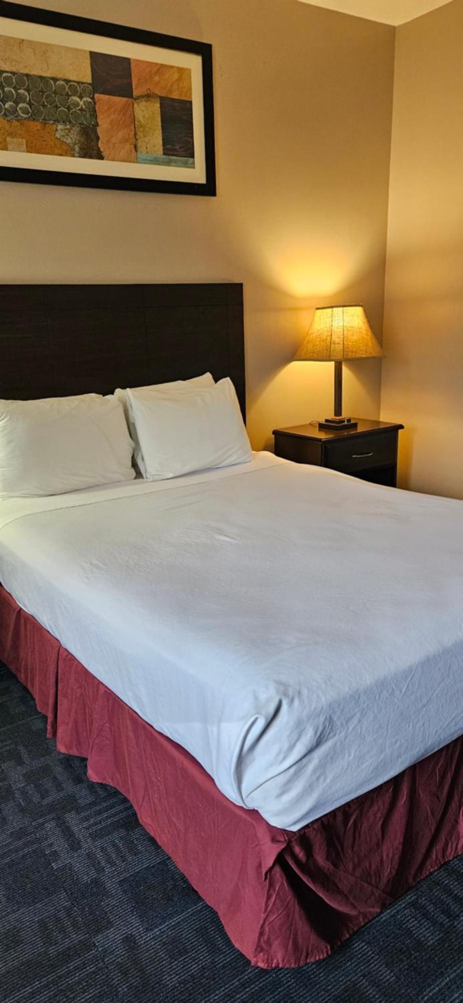 Bellis Inn 벨링엄 외부 사진